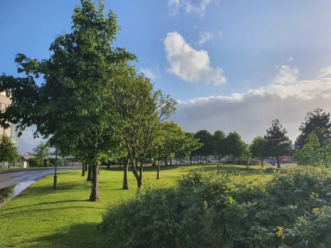 Jeremiah McLaughlin (@amcnlc385) profile image